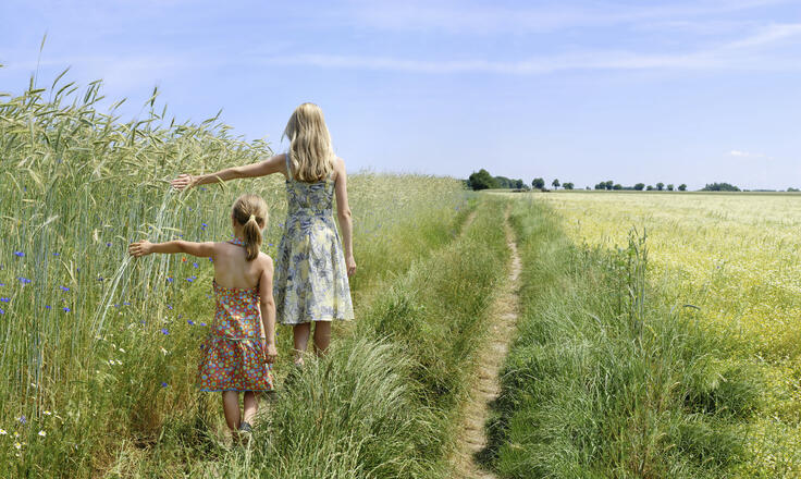 Bridging the Rural Health Care Gap