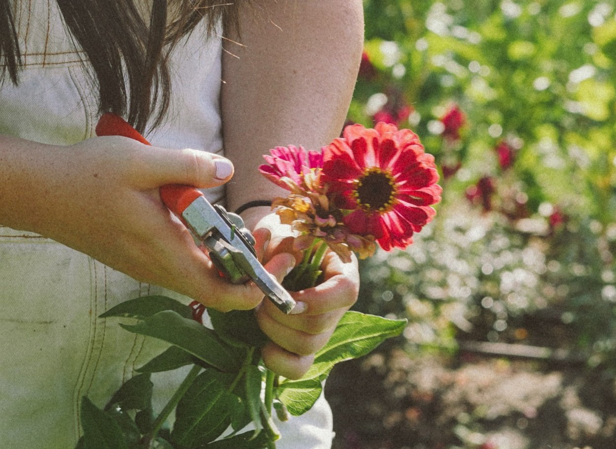 Watch video below to learn more: